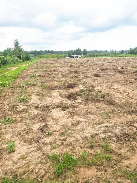 ที่ดินกุฉินารายณ์ กาฬสินธุ์, Kalasin, Na Kham, Kuchinarai, Kalasin, , 13,782 sqm, Land For Sale, by The Best Property เดี่ยว, 500527571 - DDproperty.com
