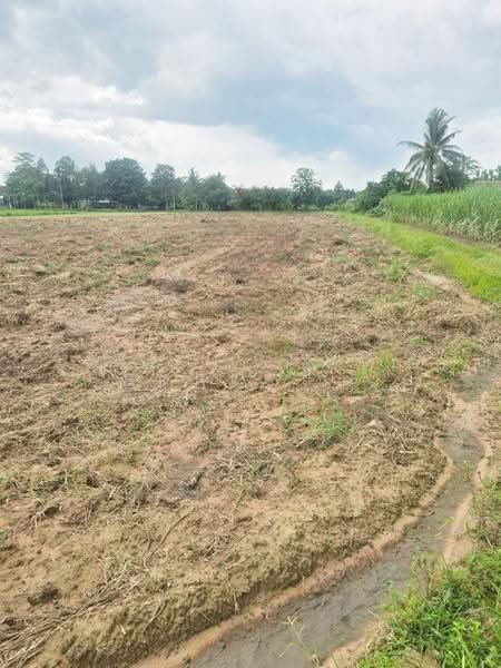 ที่ดินกุฉินารายณ์ กาฬสินธุ์, Kalasin, Na Kham, Kuchinarai, Kalasin, , 13,782 sqm, Land For Sale, by The Best Property เดี่ยว, 500527571 - DDproperty.com