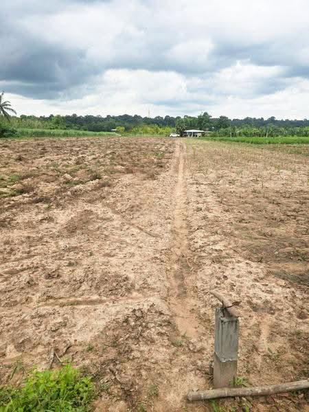 ที่ดินกุฉินารายณ์ กาฬสินธุ์, Kalasin, Na Kham, Kuchinarai, Kalasin, , 13,782 sqm, Land For Sale, by The Best Property เดี่ยว, 500527571 - DDproperty.com