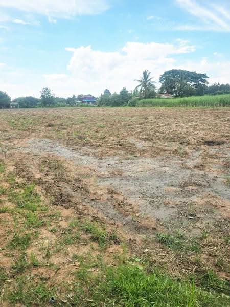 ที่ดินกุฉินารายณ์ กาฬสินธุ์, Kalasin, Na Kham, Kuchinarai, Kalasin, , 13,782 sqm, Land For Sale, by The Best Property เดี่ยว, 500527571 - DDproperty.com
