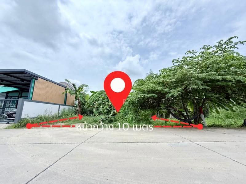 ที่ดินพานทอง ชลบุรี, ชลบุรี, หนองตำลึง, พานทอง, ชลบุรี, 188 ตร.ม., ที่ดิน ขาย, โดย The Best Property อาย, 500527677 - DDproperty.com