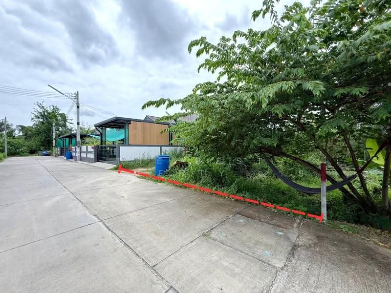 ที่ดินพานทอง ชลบุรี, Chon Buri (Pattaya), Nong Tamlung, Phan Thong, Chon Buri (Pattaya), , 188 sqm, Land For Sale, by The Best Property อาย, 500527677 - DDproperty.com