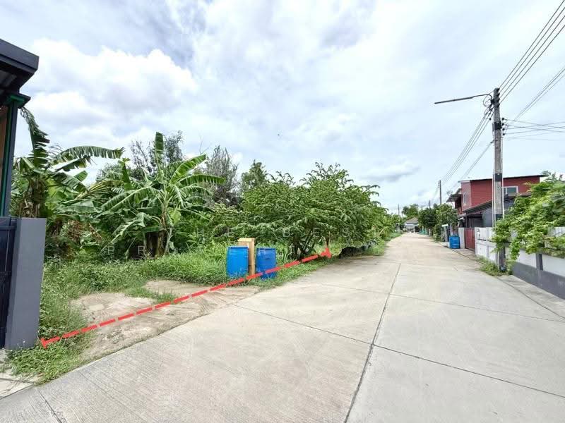 ที่ดินพานทอง ชลบุรี, ชลบุรี, หนองตำลึง, พานทอง, ชลบุรี, 188 ตร.ม., ที่ดิน ขาย, โดย The Best Property อาย, 500527677 - DDproperty.com