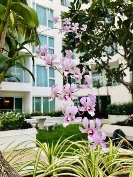 Sunset Boulevard Residence, Chon Buri (Pattaya), 4 พระตำหนัก, Nong Pru, Bang Lamung (Pattaya), Chon Buri (Pattaya), 1 Bedroom, 55 sqm, Condo For Sale, by Puttirat Kleebyam, 500527678 - DDproperty.com