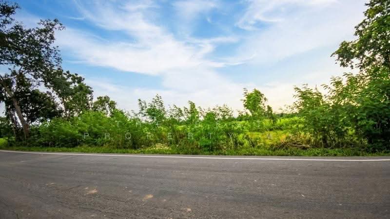 ที่ดินภูเขียว ชัยภูมิ, Chaiyaphum, That Thong, Phu Khieo, Chaiyaphum, , 61,543 sqm, Land For Sale, by The Best Property พร, 500527703 - DDproperty.com