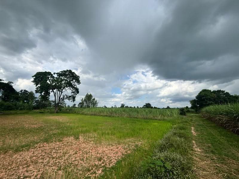 ที่ดินภูเขียว ชัยภูมิ, ชัยภูมิ, ธาตุทอง, ภูเขียว, ชัยภูมิ, 61,543 ตร.ม., ที่ดิน ขาย, โดย The Best Property พร, 500527703 - DDproperty.com