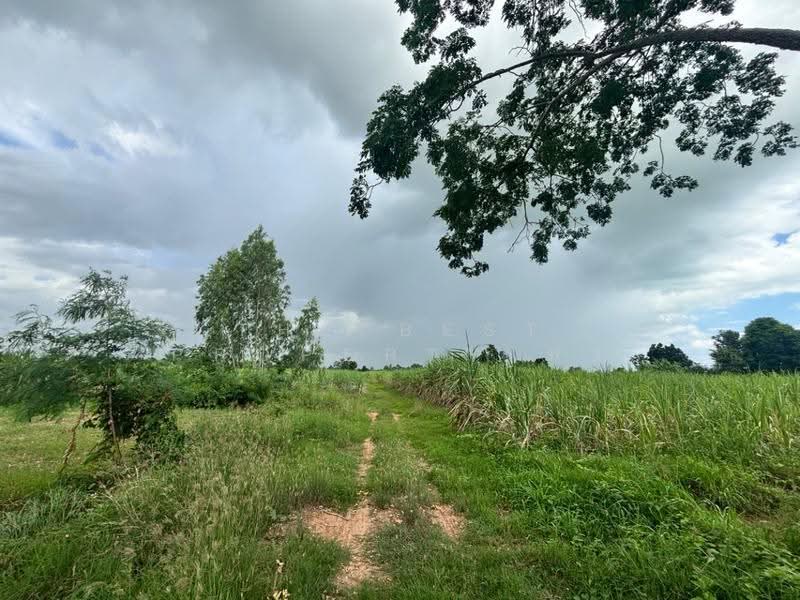 ที่ดินภูเขียว ชัยภูมิ, Chaiyaphum, That Thong, Phu Khieo, Chaiyaphum, , 61,543 sqm, Land For Sale, by The Best Property พร, 500527703 - DDproperty.com
