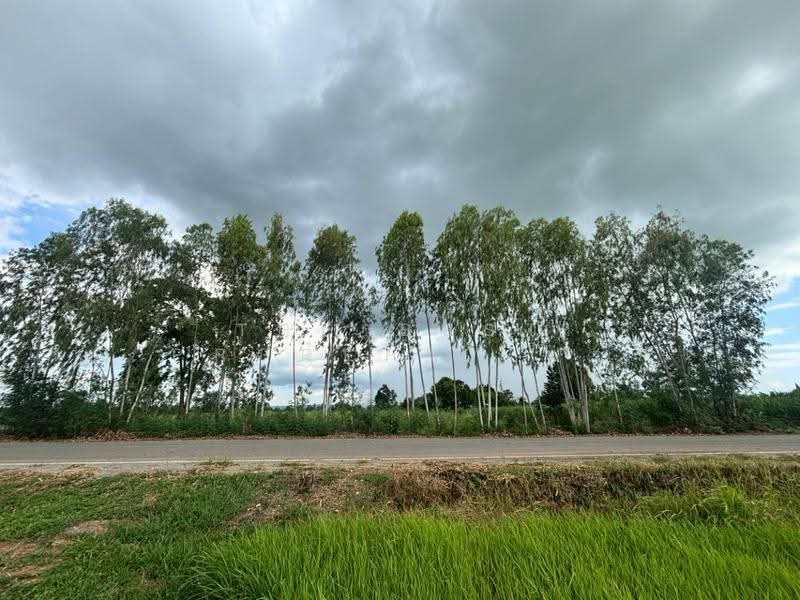 ที่ดินภูเขียว ชัยภูมิ, ชัยภูมิ, ธาตุทอง, ภูเขียว, ชัยภูมิ, 61,543 ตร.ม., ที่ดิน ขาย, โดย The Best Property พร, 500527703 - DDproperty.com