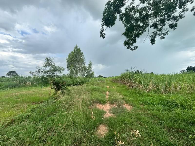 ที่ดินภูเขียว ชัยภูมิ, ชัยภูมิ, ธาตุทอง, ภูเขียว, ชัยภูมิ, 61,543 ตร.ม., ที่ดิน ขาย, โดย The Best Property พร, 500527703 - DDproperty.com