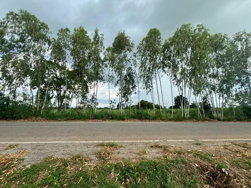 ที่ดินภูเขียว ชัยภูมิ, ชัยภูมิ, ธาตุทอง, ภูเขียว, ชัยภูมิ, 61,543 ตร.ม., ที่ดิน ขาย, โดย The Best Property พร, 500527703 - DDproperty.com