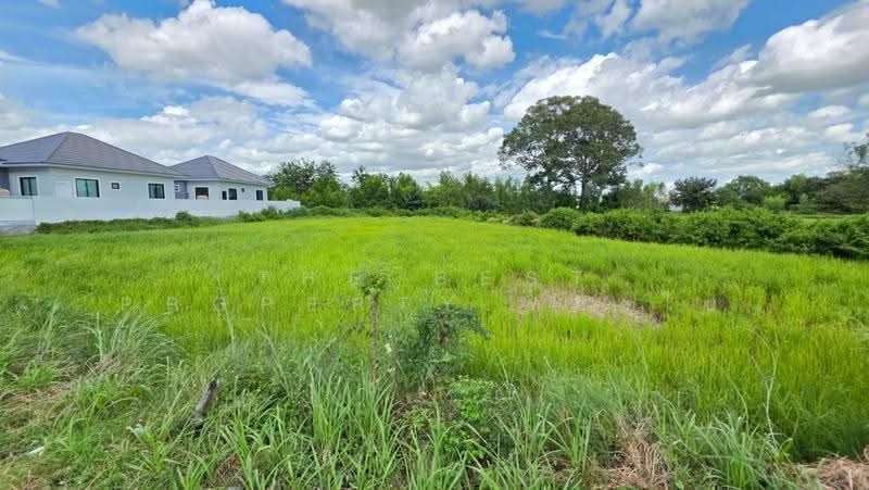 ที่ดินดงลาน ร้อยเอ็ด, ร้อยเอ็ด, ดงลาน, เมืองร้อยเอ็ด, ร้อยเอ็ด, 7,100 ตร.ม., ที่ดิน ขาย, โดย The Best Property ทองใบ, 500527718 - DDproperty.com