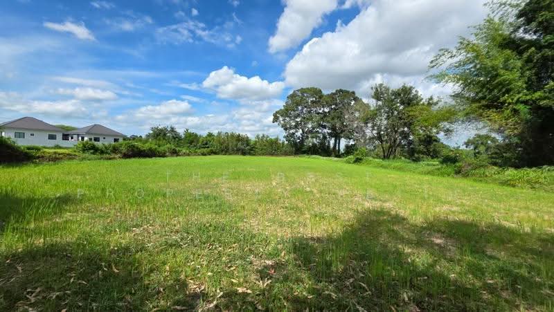 ที่ดินดงลาน ร้อยเอ็ด, Roi Et, Dong Lan, Muang Roi Et, Roi Et, , 7,100 sqm, Land For Sale, by The Best Property ทองใบ, 500527718 - DDproperty.com