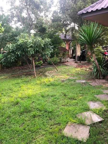 A house for rent near Botanical Tweechol, Chiang Mai Rental Price: 15,000 THB / month No.12H562, Chiang Mai, Choeng Doi, Doi Saket, Chiang Mai, 3 Bedrooms, 100 sqm, Single Detached House For Rent, by Baandeedee Chiangmai, 500527740 - DDproperty.com