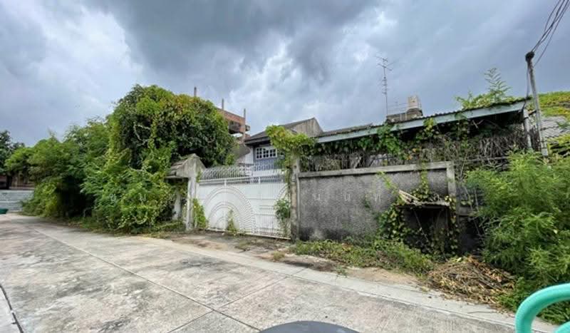 เจริญสุข, Bangkok, Chan Kasem, Chatuchak, Bangkok, , 620 sqm, Land For Sale, by ชนะชาติ นนท์ตา, 500527742 - DDproperty.com