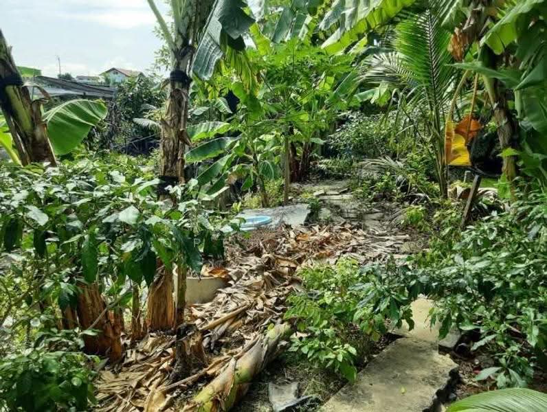 ที่ดินบางแค กรุงเทพมหานคร, กรุงเทพ, หลักสอง, บางแค, กรุงเทพ, 8,423 ตร.ม., ที่ดิน ขาย, โดย The Best Property เสือ, 500527750 - DDproperty.com