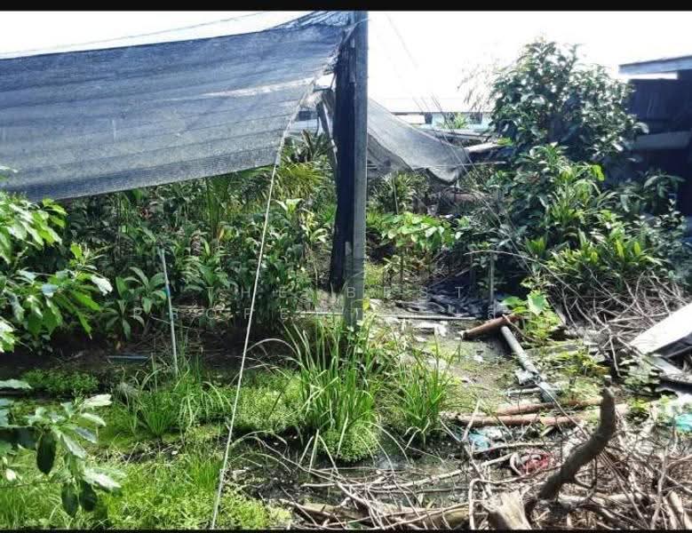 ที่ดินบางแค กรุงเทพมหานคร, กรุงเทพ, หลักสอง, บางแค, กรุงเทพ, 8,423 ตร.ม., ที่ดิน ขาย, โดย The Best Property เสือ, 500527750 - DDproperty.com