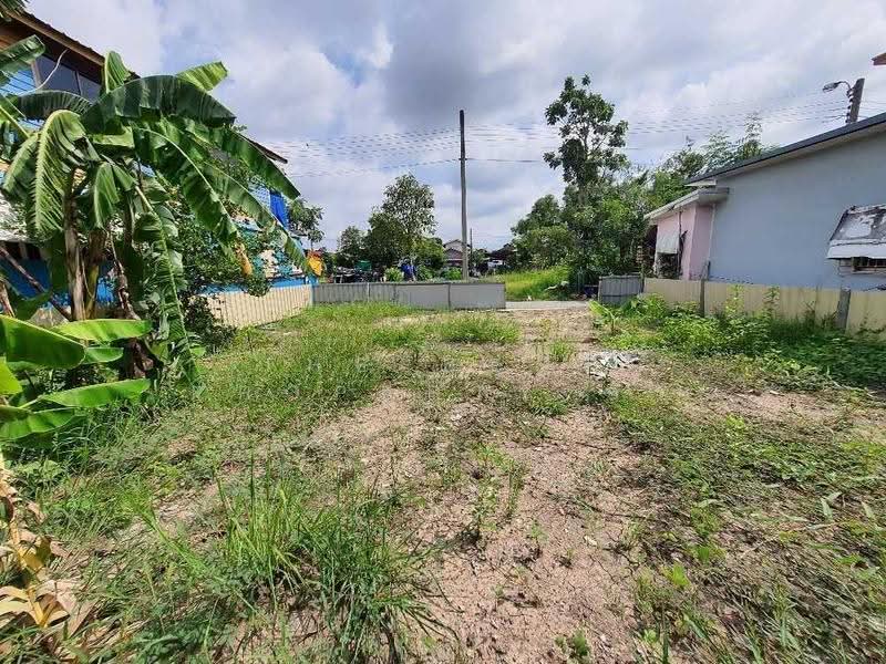 ที่ดินหนองจอก กรุงเทพมหานคร, กรุงเทพ, ลำต้อยติ่ง, หนองจอก, กรุงเทพ, 162 ตร.ม., ที่ดิน ขาย, โดย The Best Property อิ๋ว, 500527763 - DDproperty.com