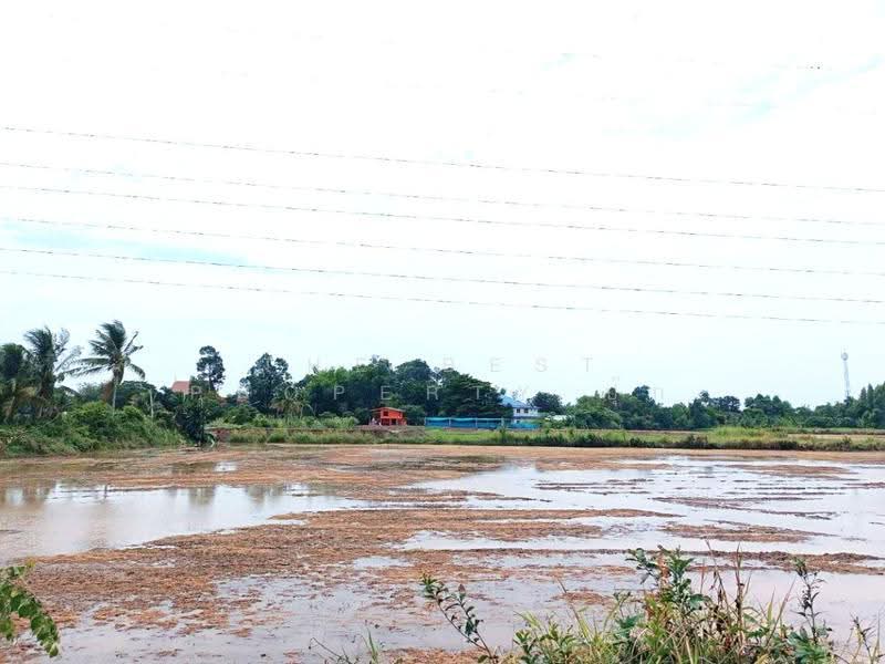 ที่ดินพร้อมสิ่งปลูกสร้างโพธิ์ทอง อ่างทอง, Ang Thong, Bo Rae, Pho Thong, Ang Thong, , 18,448 sqm, Land For Sale, by The Best Property ปุ๊ก, 500527776 - DDproperty.com