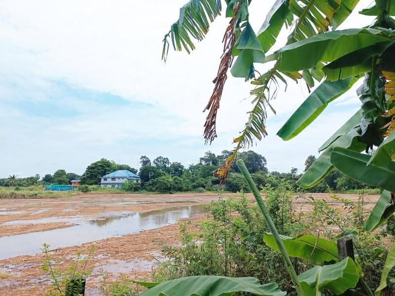 ที่ดินพร้อมสิ่งปลูกสร้างโพธิ์ทอง อ่างทอง, Ang Thong, Bo Rae, Pho Thong, Ang Thong, , 18,448 sqm, Land For Sale, by The Best Property ปุ๊ก, 500527776 - DDproperty.com