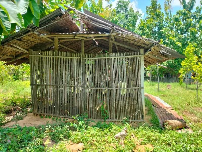 ที่ดินนครชัยศรี นครปฐม, Nakhon Pathom, Pha Niat, Nakhon Chai Sri, Nakhon Pathom, , 596 sqm, Land For Sale, by The Best Property มนต์, 500527789 - DDproperty.com