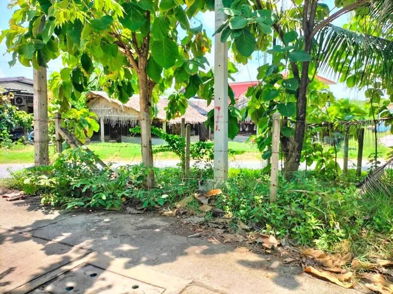 ที่ดินนครชัยศรี นครปฐม, นครปฐม, พะเนียด, นครชัยศรี, นครปฐม, 596 ตร.ม., Land ขาย, โดย The Best Property มนต์ , 500527789 - DDproperty.com