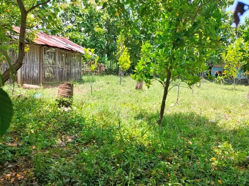 ที่ดินนครชัยศรี นครปฐม, นครปฐม, พะเนียด, นครชัยศรี, นครปฐม, 596 ตร.ม., Land ขาย, โดย The Best Property มนต์ , 500527789 - DDproperty.com