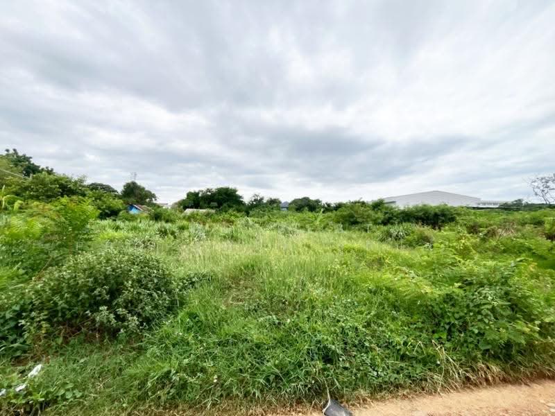 ที่ดินห้วยจรเข้ นครปฐม, Nakhon Pathom, Huai Chorakhe, Muang Nakhon Pathom, Nakhon Pathom, , 1,370 sqm, Land For Sale, by The Best Property ลูกปลา, 500527822 - DDproperty.com