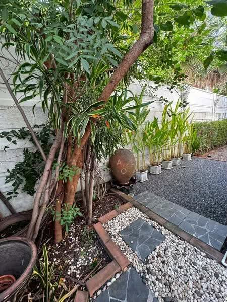 Centro Bangna Km.7 : เซนโทร บางนา กม.7, สมุทรปราการ, ถนนบัวนครินทร์, บางแก้ว, บางพลี, สมุทรปราการ, 180 ตร.ม., บ้านเดี่ยว ขาย, โดย Saowaluk Anupong, 500527876 - DDproperty.com