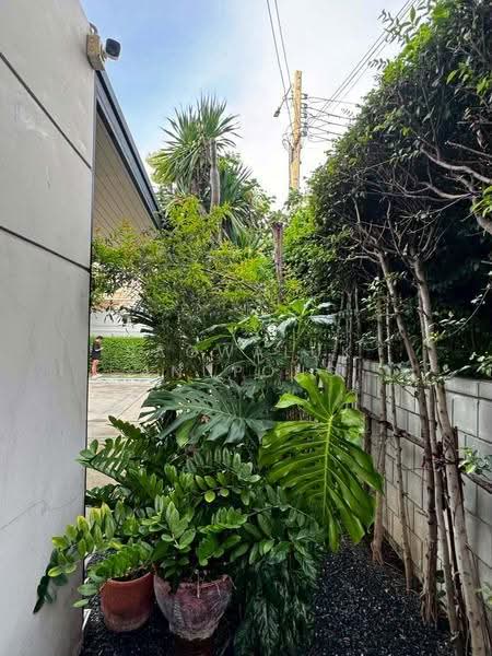 Centro Bangna Km.7, Samut Prakan, Buanakarin Road, Bang Kaeo, Bang Plee, Samut Prakan, 4 Bedrooms, 180 sqm, Single Detached House For Sale, by Saowaluk Anupong, 500527876 - DDproperty.com