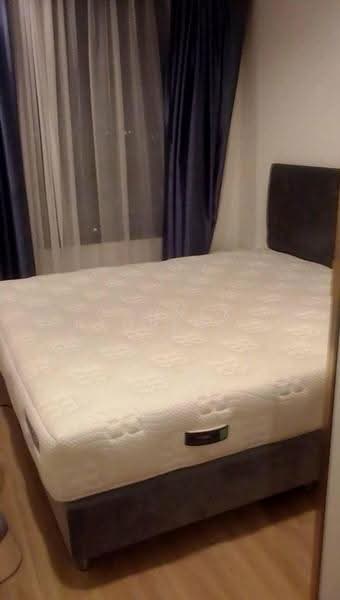 Artemis Sukhumvit 77, Bangkok, 418 Sukhumvit 77 Road, Suan Luang, Bangkok, 1 Bedroom, 32 sqm, Condo For Rent, by Connex Property, 500527885 - DDproperty.com