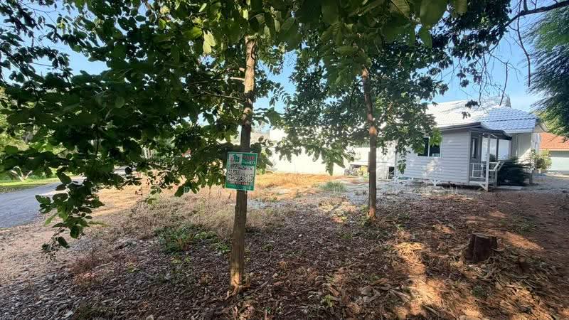 LAND FoR SALE!!! ขายที่ดินเปล่า 91 ตร.วา ในสวนวังแก้ว ต.ชากพง อ.แกลง จ.ระยอง, Rayong, Chakphong, Klaeng, Rayong, , 364 sqm, Land For Sale, by ณัฐจิตตบุญ ดวงชื่น, 500527917 - DDproperty.com