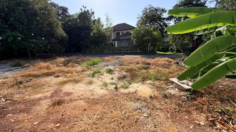 LAND FoR SALE!!! ขายที่ดินเปล่า 91 ตร.วา ในสวนวังแก้ว ต.ชากพง อ.แกลง จ.ระยอง, Rayong, Chakphong, Klaeng, Rayong, , 364 sqm, Land For Sale, by ณัฐจิตตบุญ ดวงชื่น, 500527917 - DDproperty.com