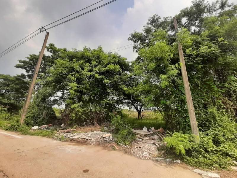 ขาย ที่ดิน 75ตรว พัฒนาการ 69 แยก8-2-3, กรุงเทพ, ประเวศ, กรุงเทพ, 300 ตร.ม., ที่ดิน ขาย, โดย Saowaluk Anupong, 500528097 - DDproperty.com