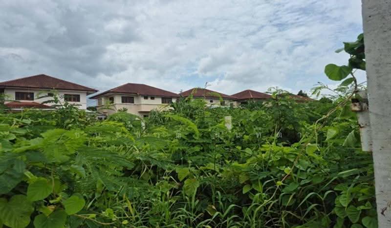 ซอยเทศบาล 3/3-2, Nonthaburi, Bang Yai, Nonthaburi, , 280 sqm, Land For Sale, by ชนะชาติ นนท์ตา, 500528113 - DDproperty.com
