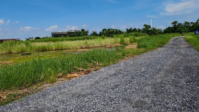 ที่ดินบางพลี สมุทรปราการ, สมุทรปราการ, บางปลา, บางพลี, สมุทรปราการ, 3,520 ตร.ม., ที่ดิน ขาย, โดย The Best Property ลี, 500528159 - DDproperty.com