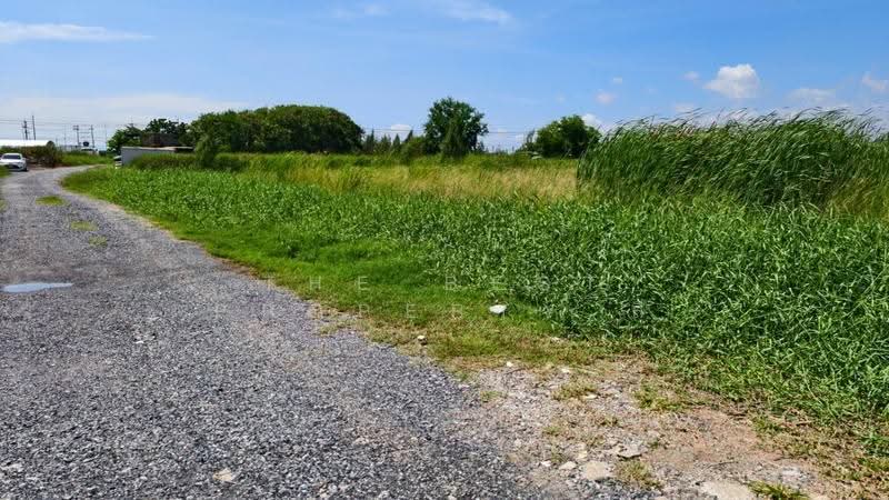 ที่ดินบางพลี สมุทรปราการ, Samut Prakan, Bang Pla, Bang Plee, Samut Prakan, , 3,520 sqm, Land For Sale, by The Best Property ลี, 500528159 - DDproperty.com