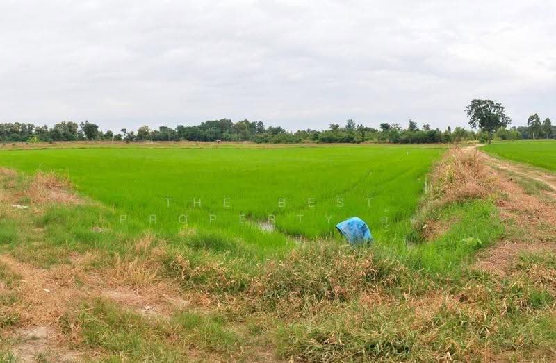 ที่ดินดงเจริญ พิจิตร, พิจิตร, ห้วยพุก, ดงเจริญ, พิจิตร, 46,764 ตร.ม., ที่ดิน ขาย, โดย The Best Property อ้อ, 500528161 - DDproperty.com
