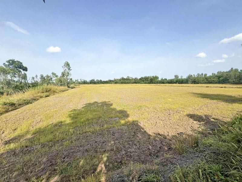 ที่ดินดงเจริญ พิจิตร, Phichit, Huai Phuk, Dong Charoen, Phichit, , 46,764 sqm, Land For Sale, by The Best Property อ้อ, 500528161 - DDproperty.com