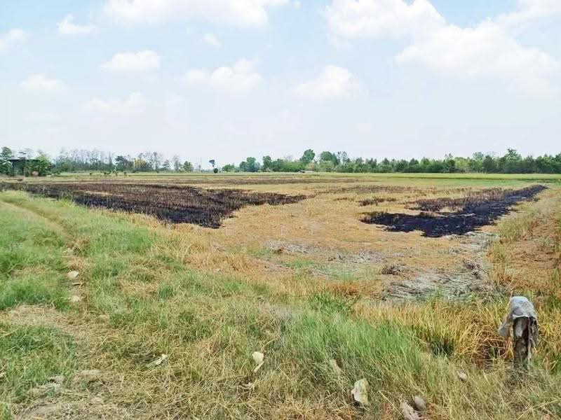 ที่ดินดงเจริญ พิจิตร, Phichit, Huai Phuk, Dong Charoen, Phichit, , 46,764 sqm, Land For Sale, by The Best Property อ้อ, 500528161 - DDproperty.com