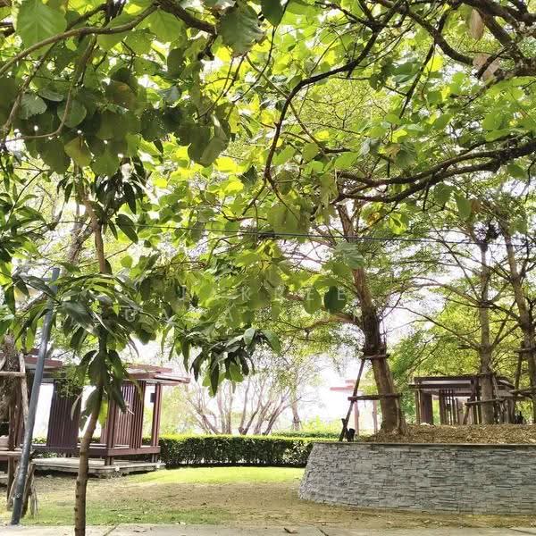 Lake View Park Bangna, Bangkok, 454 Kanchanaphisek Road, Dok Mai, Prawet, Bangkok, 3 Bedrooms, 200 sqm, Single Detached House For Sale, by Jakree Buajatturat, 500528202 - DDproperty.com
