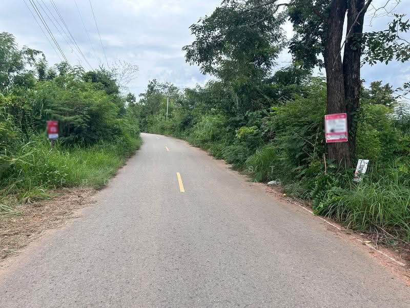 ที่ดินโนนสัง หนองบัวลำภู, หนองบัวลำภู, โนนสัง, หนองบัวลำภู, 1,764 ตร.ม., ที่ดิน ขาย, โดย The Best Property Agent ต้นอ้อ, 500528209 - DDproperty.com