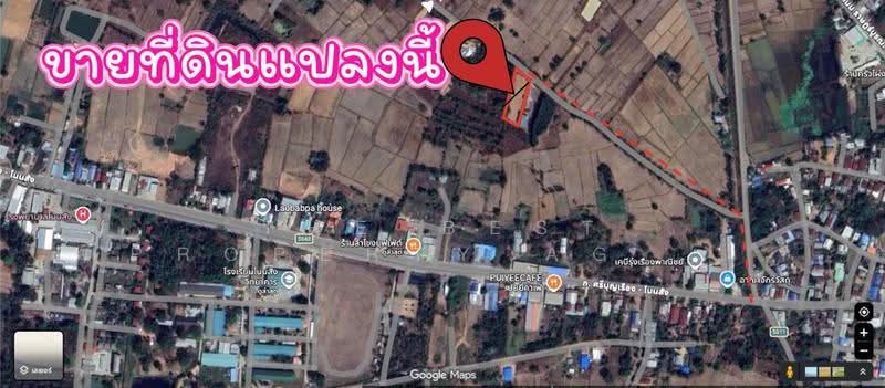 ที่ดินโนนสัง หนองบัวลำภู, หนองบัวลำภู, โนนสัง, หนองบัวลำภู, 1,764 ตร.ม., ที่ดิน ขาย, โดย The Best Property Agent ต้นอ้อ, 500528209 - DDproperty.com