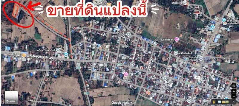 ที่ดินโนนสัง หนองบัวลำภู, หนองบัวลำภู, โนนสัง, หนองบัวลำภู, 1,764 ตร.ม., ที่ดิน ขาย, โดย The Best Property Agent ต้นอ้อ, 500528209 - DDproperty.com