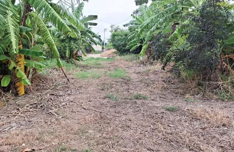 ที่ดินพร้อมสิ่งปลูกสร้างบางบ่อ สมุทรปราการ, Samut Prakan, Bang Phriang, Bang Bo, Samut Prakan, , 4,652 sqm, Land For Sale, by The Best Property บอส , 500528221 - DDproperty.com