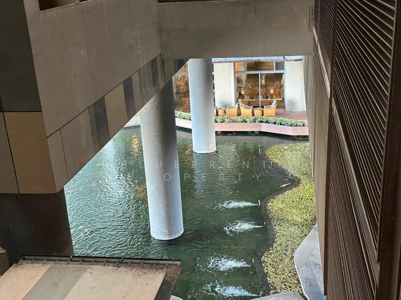 The Pano Rama 3, Bangkok, 890 Rama 3 Road, Bang Pong Pang, Yan Nawa, Bangkok, 2 Bedrooms, 159 sqm, Condo For Rent, by Blueprint Property, 500528229 - DDproperty.com