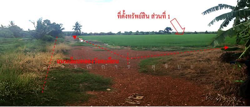 13.737889, 101.006250, ฉะเชิงเทรา, คลองนครเนื่องเขต, เมืองฉะเชิงเทรา, ฉะเชิงเทรา, 25,600 ตร.ม., ที่ดิน ให้เช่า, โดย กรรณิการ์ สุริยะ, 500528304 - DDproperty.com