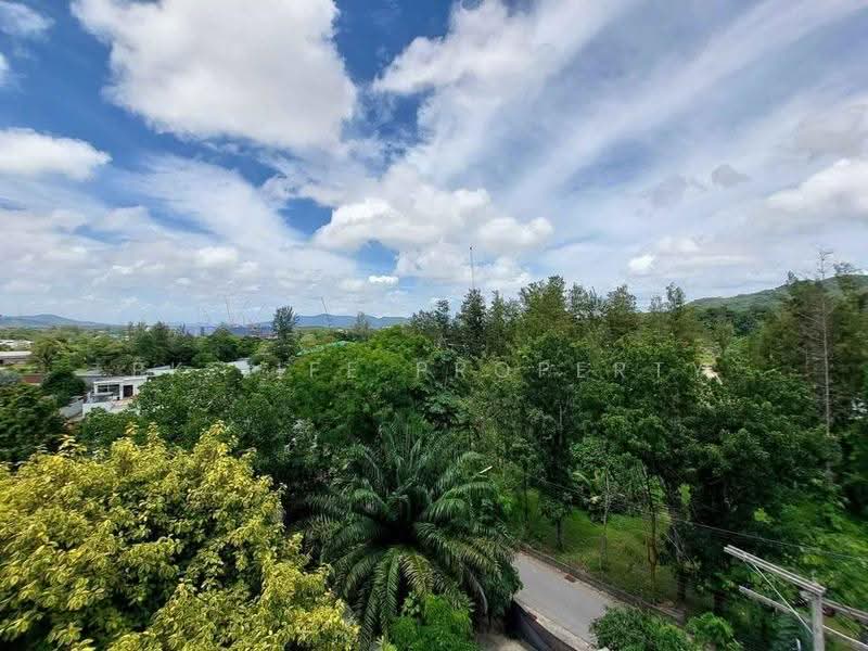 Hill Myna Condotel, Phuket, 1 M. 5 Srisunthorn Road, Choeng Thale, Thalang, Phuket, 1 Bedroom, 34 sqm, Condo For Rent, by PK LIFE Property, 500528347 - DDproperty.com