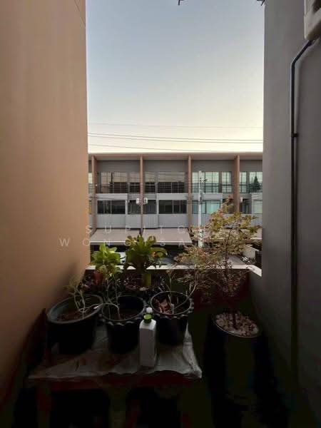 undefined, Bangkok, Prawet, Bangkok, 3 Bedrooms, 204 sqm, Townhouse For Sale, by Supitcha Wongisaraseri, 500528411 - DDproperty.com