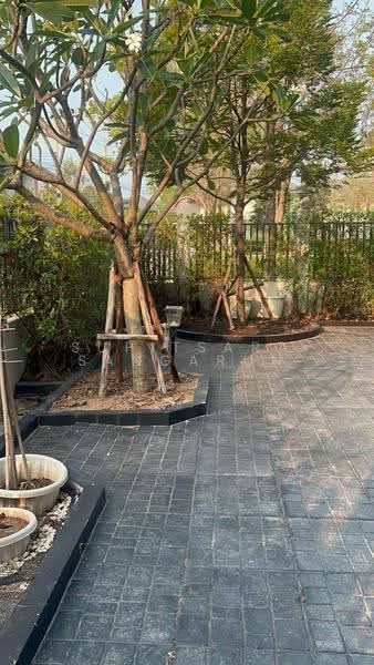 PATTA Define, Chon Buri (Pattaya), Ta Khian Tia, Bang Lamung (Pattaya), Chon Buri (Pattaya), 4 Bedrooms, 248 sqm, Single Detached House For Sale, by Supitsara Sangarun, 500528602 - DDproperty.com