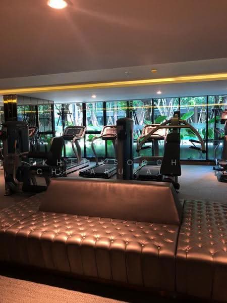 Vtara Sukhumvit 36, Bangkok, 118 Soi Saen Sabai, Phra Kanong, Khlong Toei, Bangkok, 1 Bedroom, 29 sqm, Condo For Rent, by Khemasooch Chiraburanan, 500528760 - DDproperty.com